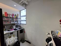 The Flow (D15), Shop House #613733271